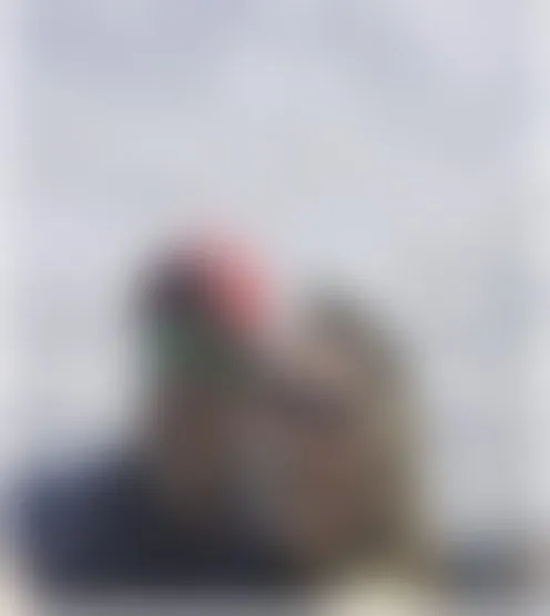 m**********0