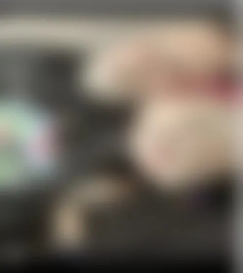 a****o