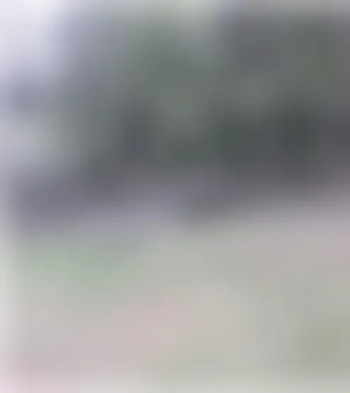 d**z