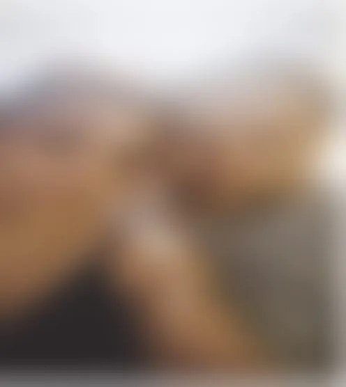 L********2