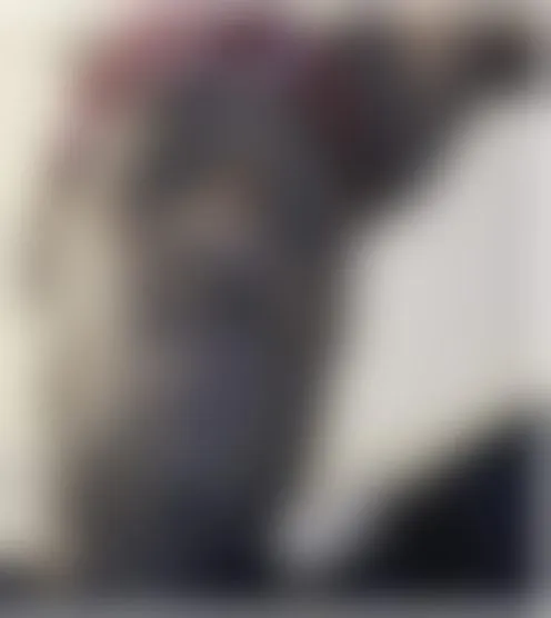 B******3