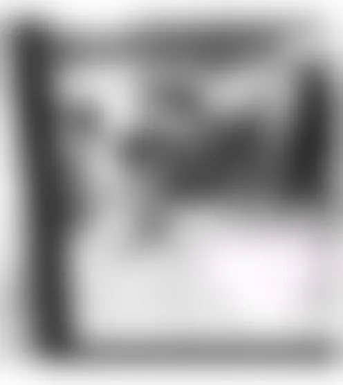 b************1
