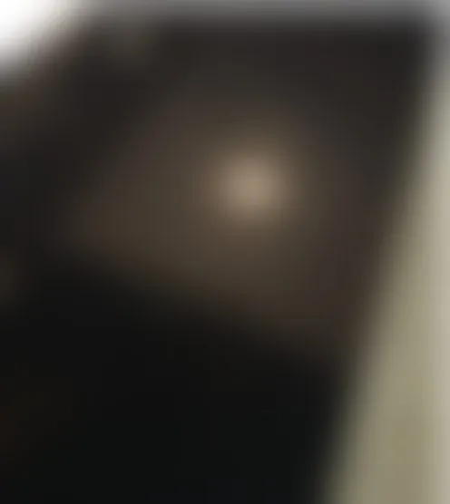 s*******s