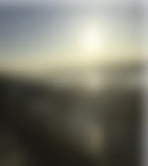 T********5