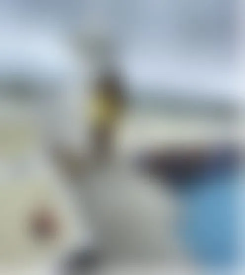 k*********8