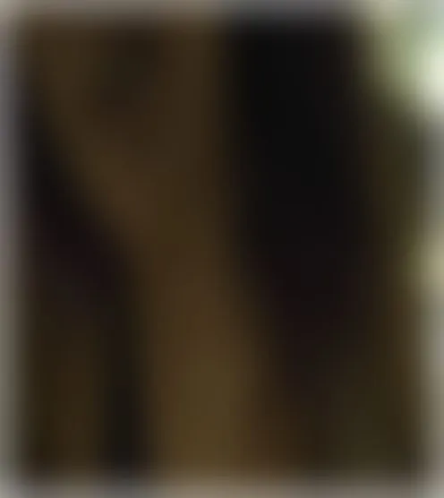 d******e