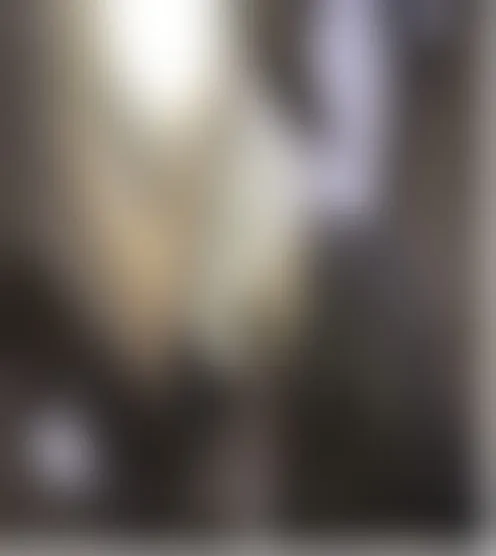 H****y