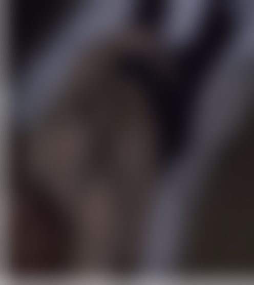 T**y