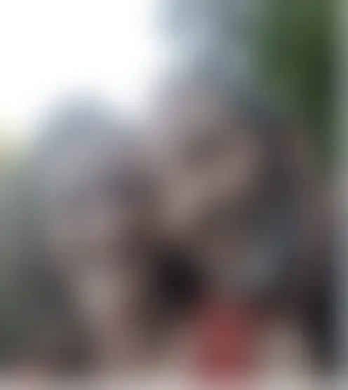 T**************0