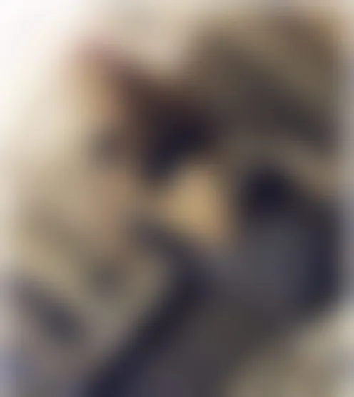 l*************1