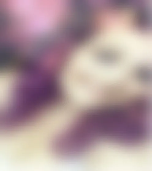 S****t