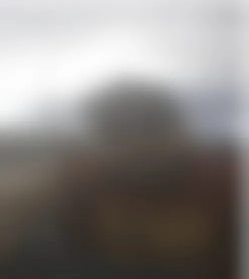 4*******e