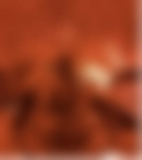 S****9
