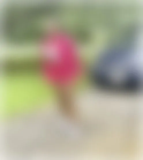 s*******6