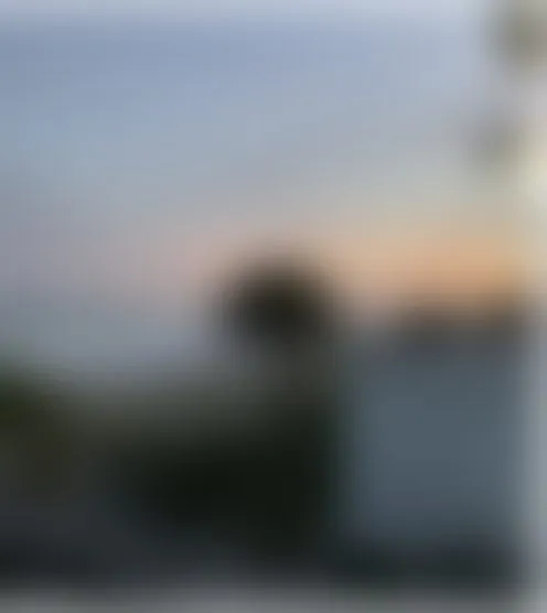 o***r