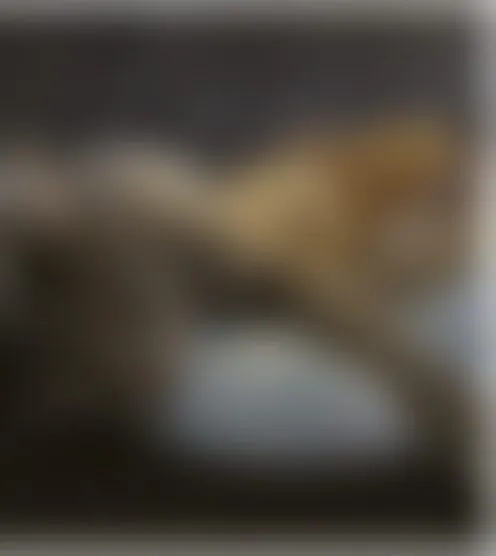 M********0