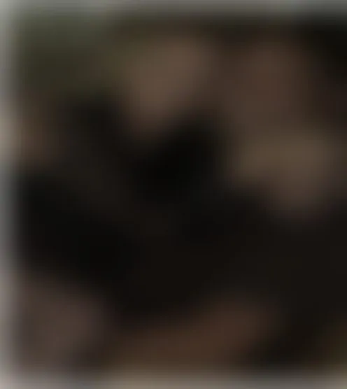 S**********8