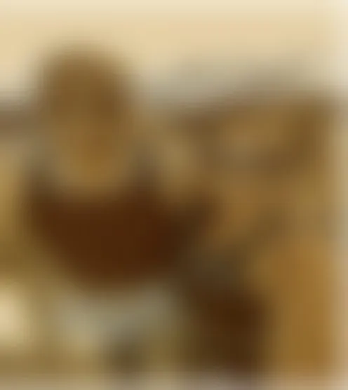 C***********y