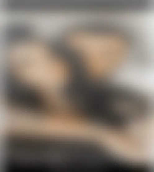 S********m