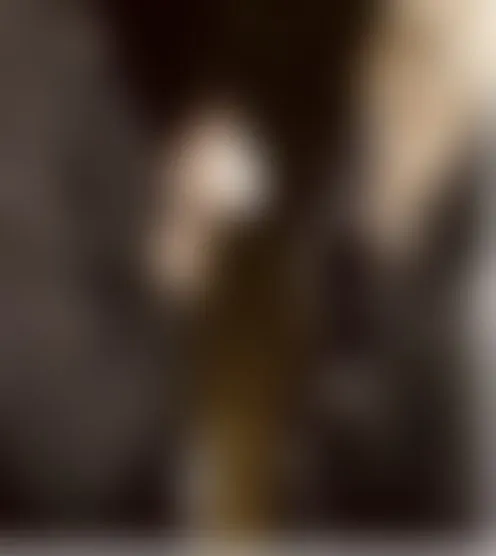 s******0