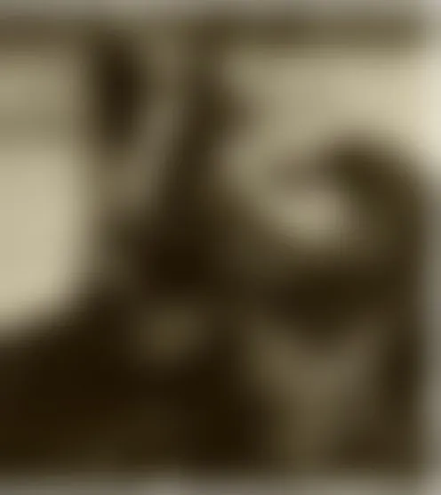 C*********0