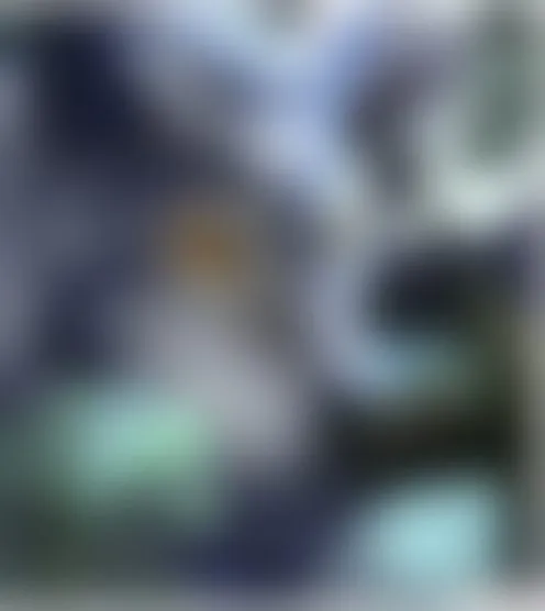 T*****1