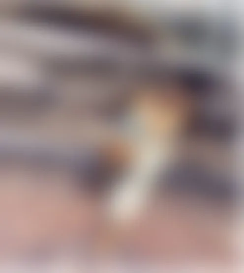 T*e