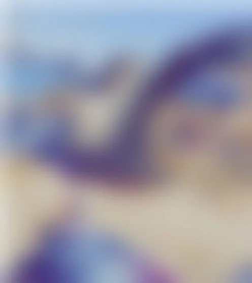 V******6