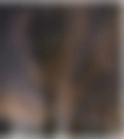 T*e