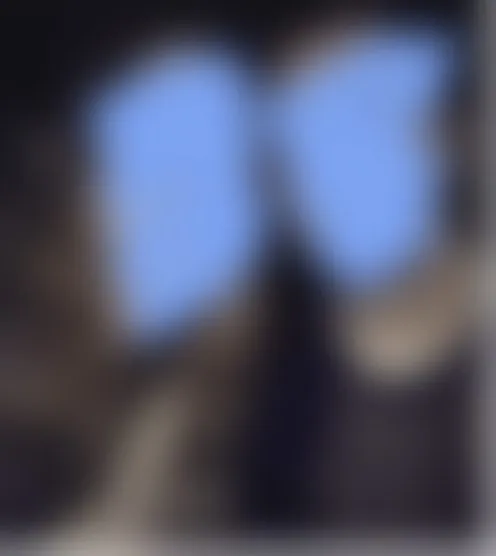 N**************n