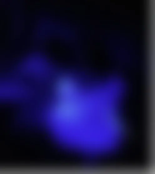 L***********s