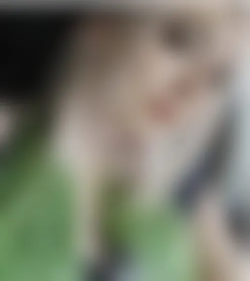a***********e