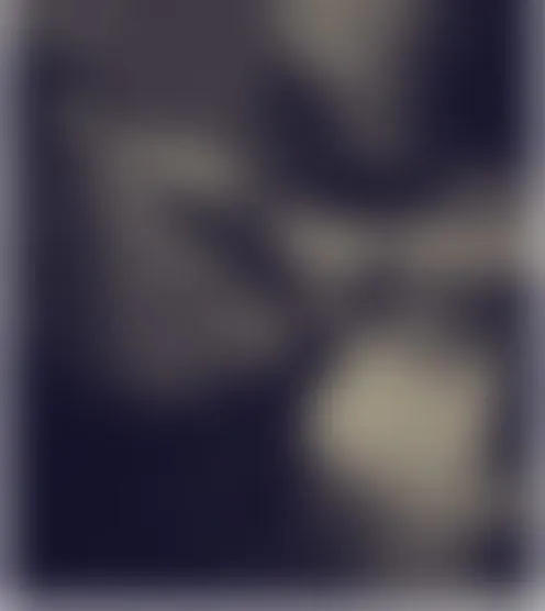 s*****n