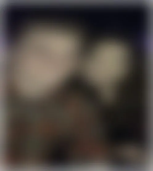 J***********a