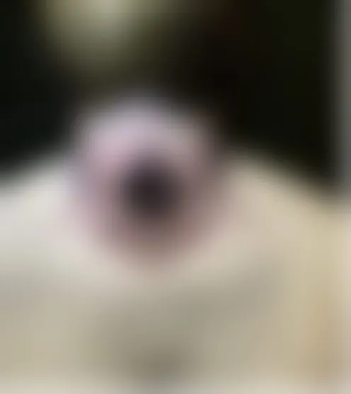 Y**********0