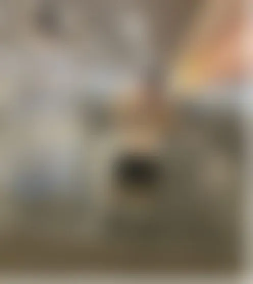 M****t