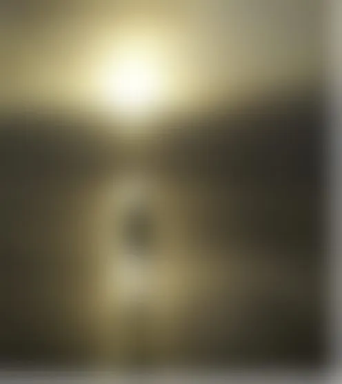 l**********1