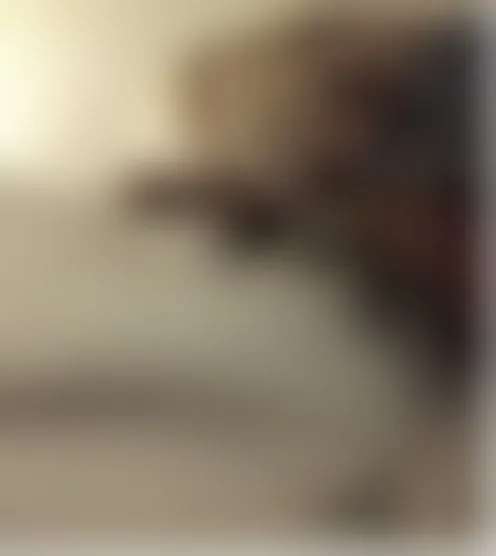 t*****0