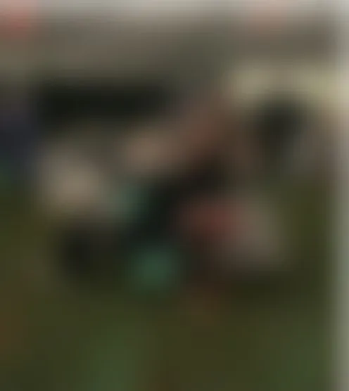 m*********l