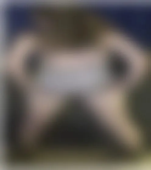 a****a