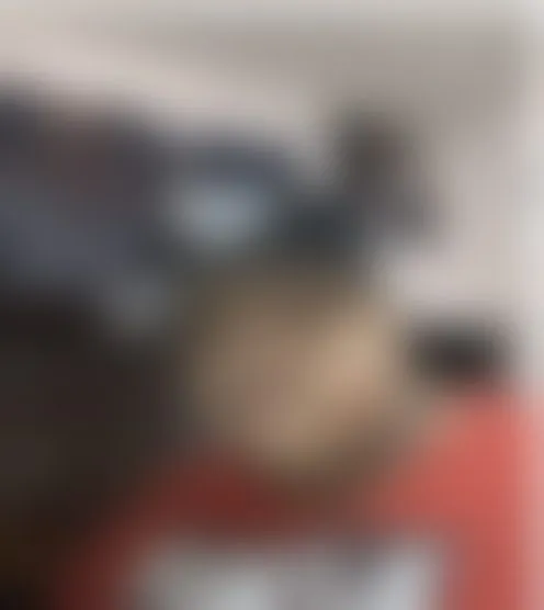 e********s