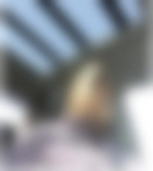 u********3