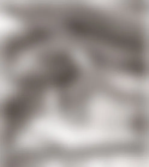 S**********b