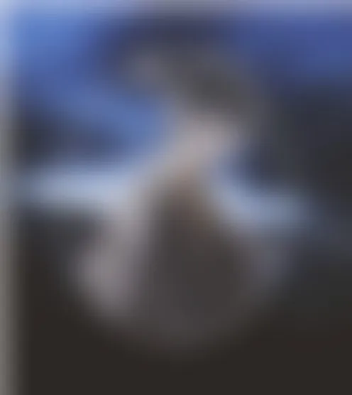 n***********3
