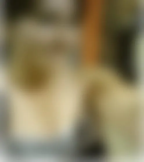 s******e