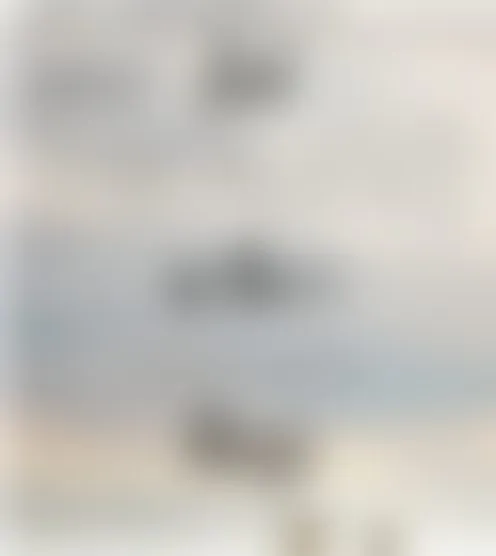 r**********a