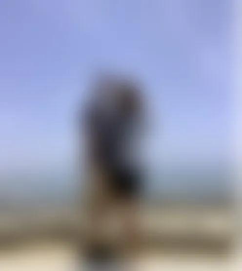 l*********2