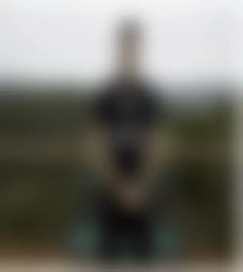 P**********2