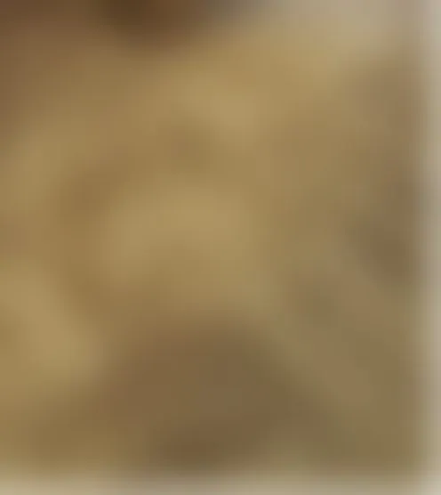 c******4