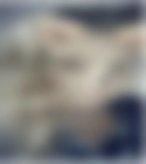 C***s